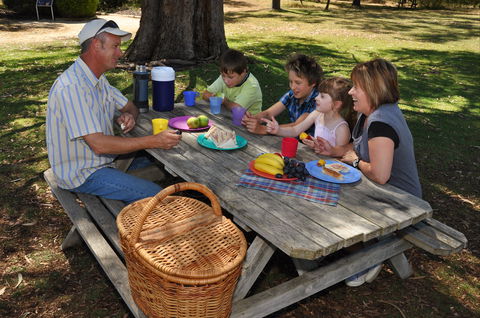 Naracoorte Caves Camping And Accomodation - Accommodation Ballina 0