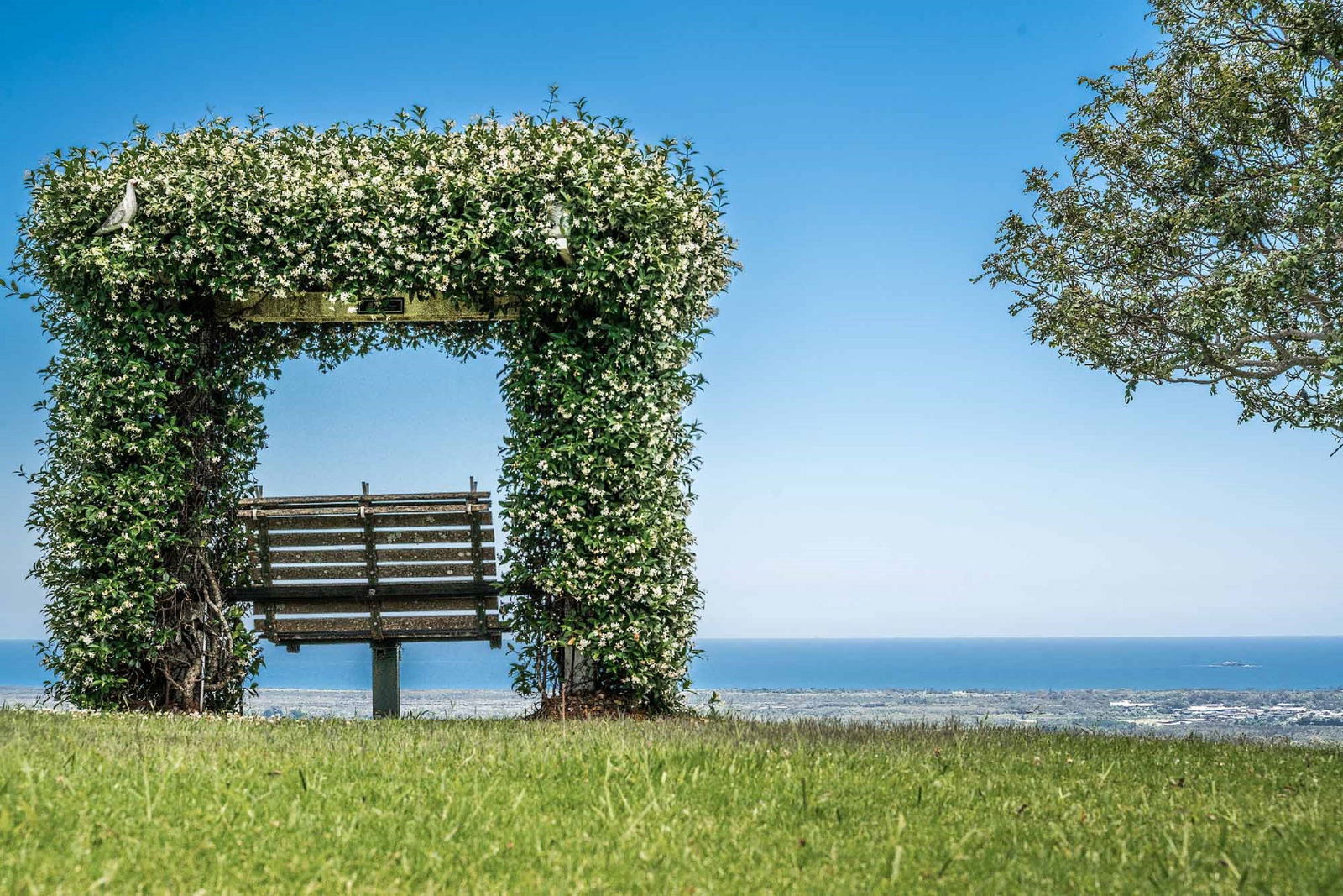 Mcleods Shoot NSW Accommodation Ballina