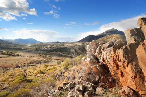 Pichi Richi Park - Accommodation Ballina 0