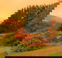 Red Rooster Host Farm