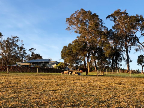 Great Southern Outback Tours & Accommodation - Accommodation Ballina 2