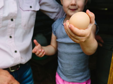 Tommerups Dairy Farmstay - Accommodation Ballina 1