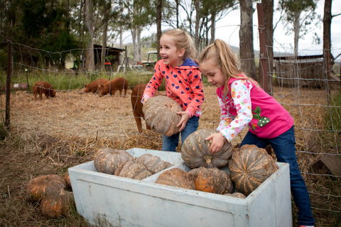 Tommerups Dairy Farmstay - Accommodation Ballina 2