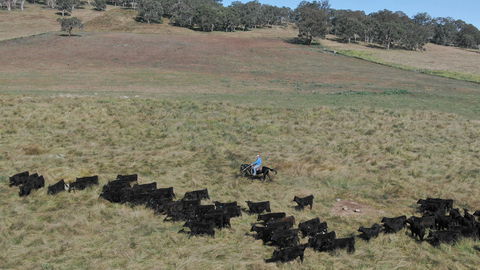 Waterloo Station - Accommodation Ballina 2