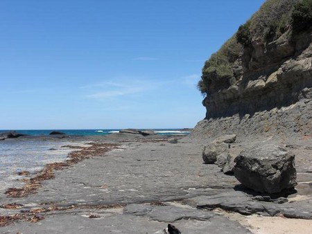 Dolphins Point Tourist Park - Accommodation Ballina 4