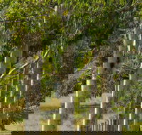 Stringybark Cottages - Accommodation Ballina