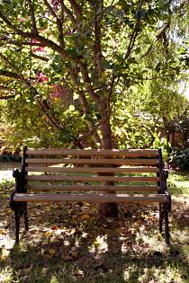 Tara House Bed And Breakfast - Accommodation Ballina 4