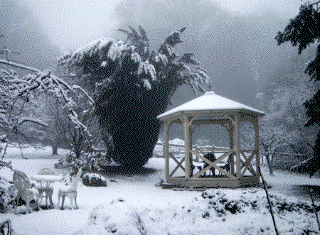 Arcadia Cottages - Accommodation Ballina 2