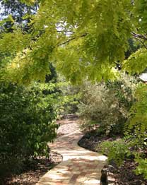 Eagle Hammer Cottages - Accommodation Ballina 0