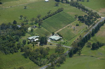 Lyre Bird Hill Winery And Guest House - Accommodation Ballina 5