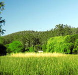 Waterholes Guest House - Accommodation Ballina