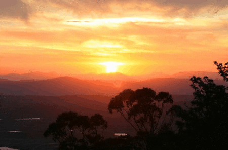 Avocado Sunset - Accommodation Ballina