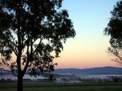 Bluebush Estate - Accommodation Ballina 0