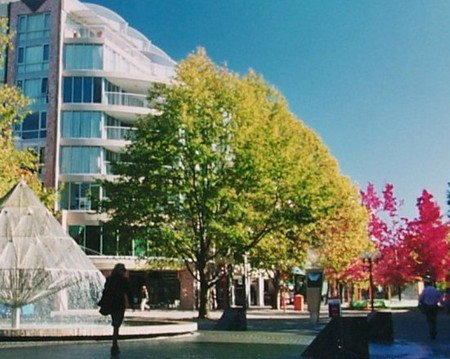 Canberra Wide Apartments - City Plaza - Accommodation Ballina 2