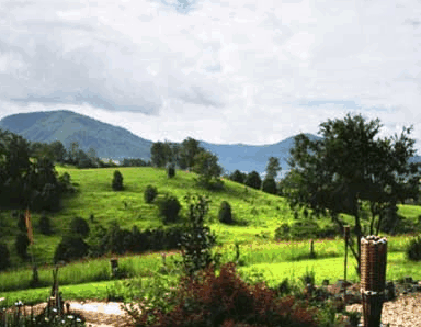 Nimbin Rox YHA - Accommodation Ballina 1