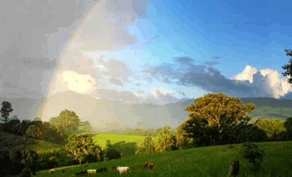 Nimbin Rox YHA - Accommodation Ballina 3