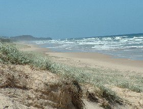 Beachcomber Peregian Beach - Accommodation Ballina 4