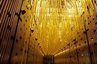 State Theatre Centre - Accommodation Ballina 0