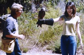 Eagles Heritage Raptor Wildlife Centre - Accommodation Ballina 2