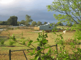 The House Of Honey - Accommodation Ballina 2