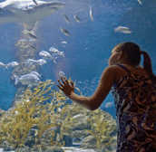 The Aquarium Of Western Australia - Accommodation Ballina 0