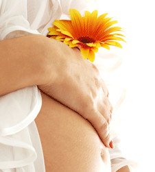 Glow Retreat - Accommodation Ballina 1