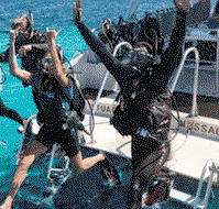 Snorkel Safari Brisbane - Accommodation Ballina