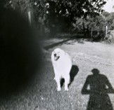 Fehily Contemporary - Accommodation Ballina 2