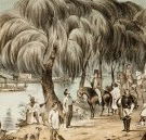 Joshua McClelland Print Room - Accommodation Ballina