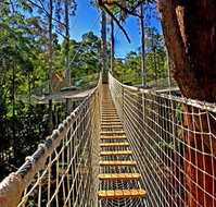 Thunderbird Park - Accommodation Ballina