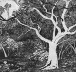 Tacit Contemporary Art - Accommodation Ballina