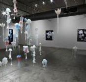 Nellie Castan Gallery - Accommodation Ballina