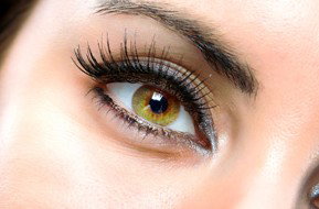 Beauty On Ryrie - Accommodation Ballina 1