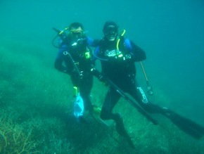 Pelican Charters - Accommodation Ballina 1