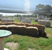 We Are Paintball - Accommodation Ballina