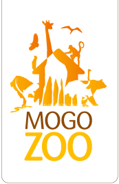 Mogo Zoo - Accommodation Ballina 0