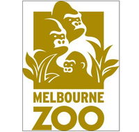 Melbourne Zoo - Accommodation Ballina