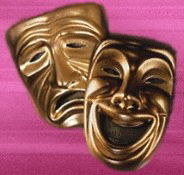 Nu Show - Accommodation Ballina