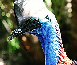 Northern Brisbane And Moreton Bay QLD Accommodation Ballina