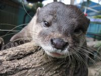 Underwater World - Accommodation Ballina 1