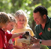 Cleland Wildlife Park - Accommodation Ballina