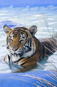  Accommodation Ballina