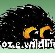 OZe Wildlife - Accommodation Ballina