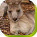  Accommodation Ballina