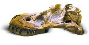 Australia Walkabout Wildlife Park - Accommodation Ballina 2