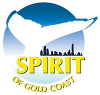 Spirit of Gold Coast Whale Watching - Accommodation Ballina
