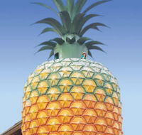The Big Pineapple - Accommodation Ballina