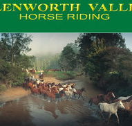 Glenworth Valley Horseriding - Accommodation Ballina
