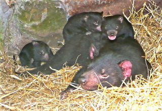  Accommodation Ballina