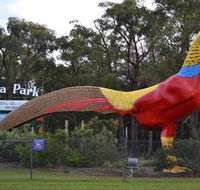 Gumbuya Park - Accommodation Ballina
